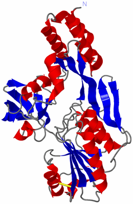 Image Asym./Biol. Unit