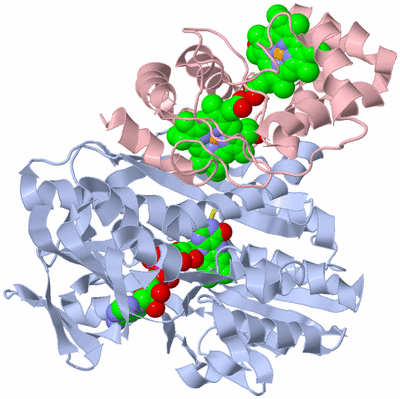 Image Biological Unit 1