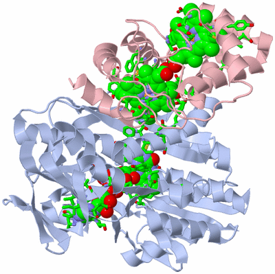 Image Biol. Unit 1 - sites