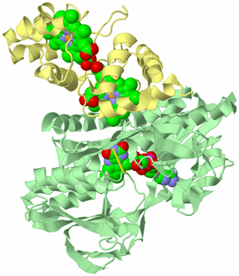 Image Biological Unit 2