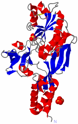 Image Asymmetric Unit