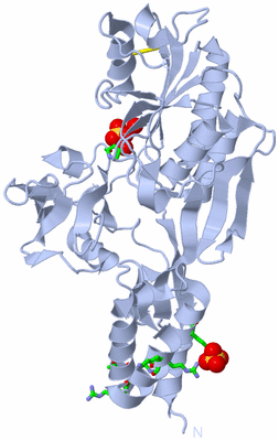 Image Biol. Unit 1 - sites