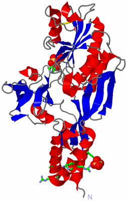 Image Asym. Unit - sites