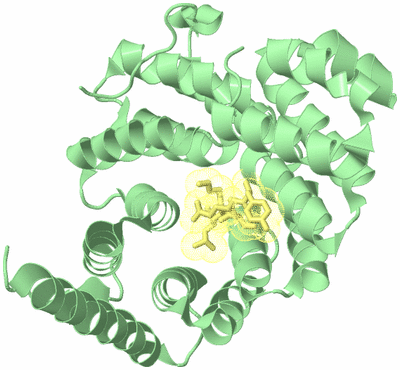 Image Biological Unit 2