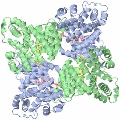 Image Biological Unit 3