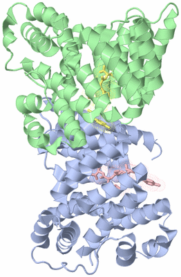 Image Biological Unit 4