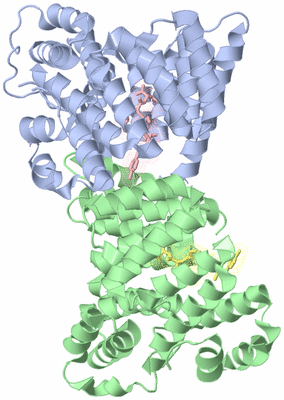 Image Biological Unit 5