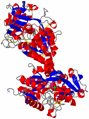 Image Asym./Biol. Unit