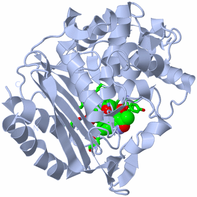 Image Biol. Unit 1 - sites