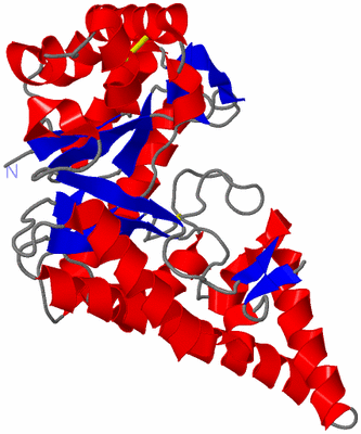 Image Asym./Biol. Unit