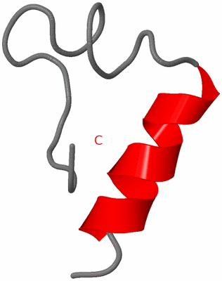 Image NMR Structure - model 1