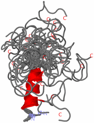 Image NMR Structure - all models