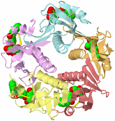 Image Biological Unit 1