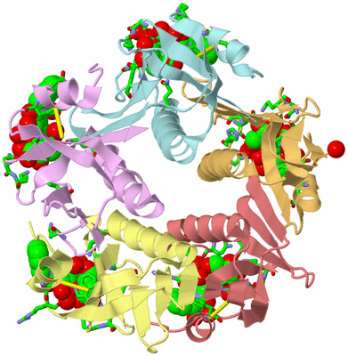 Image Biol. Unit 1 - sites