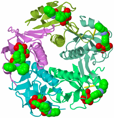 Image Biological Unit 2