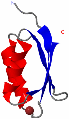 Image NMR Structure - model 1