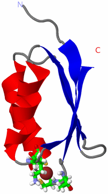 Image NMR Structure - model 1, sites