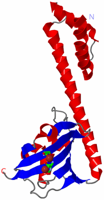 Image Asym. Unit - sites