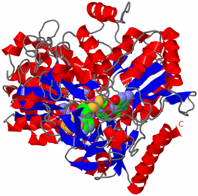 Image Asym./Biol. Unit