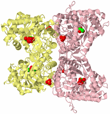 Image Biological Unit 2