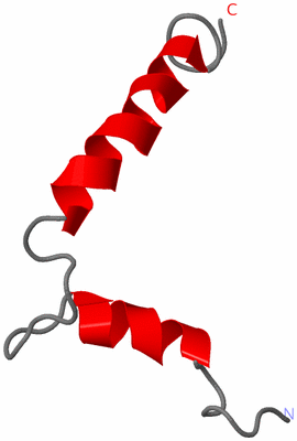 Image NMR Structure - model 1