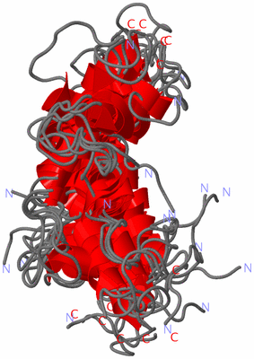 Image NMR Structure - all models