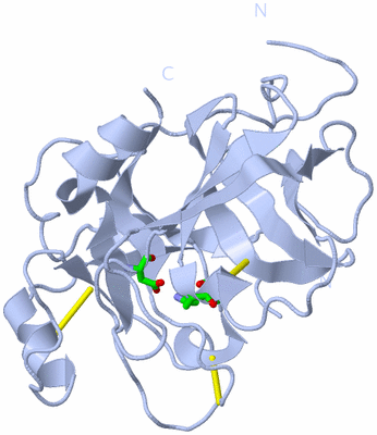 Image Biol. Unit 1 - sites