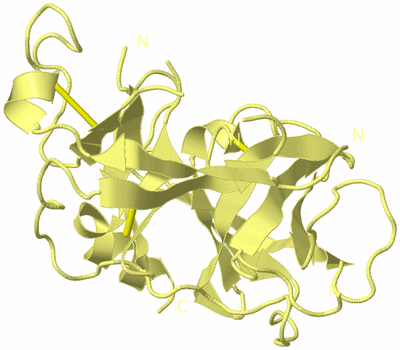 Image Biological Unit 4