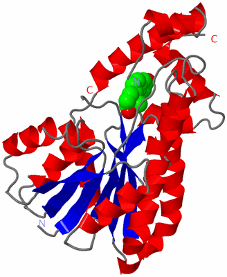 Image Asymmetric Unit