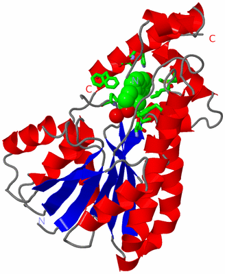 Image Asym. Unit - sites