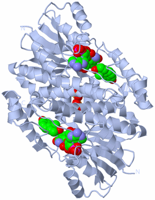 Image Biological Unit 1