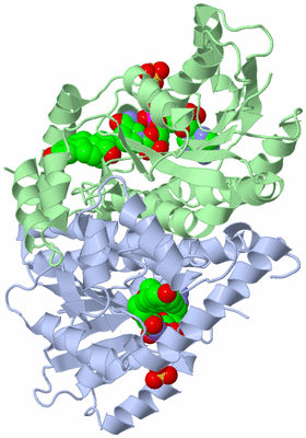 Image Biological Unit 1