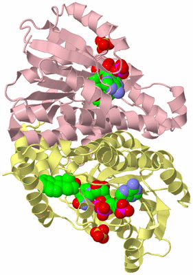 Image Biological Unit 2