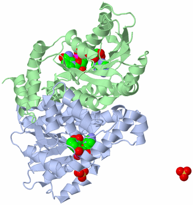 Image Biological Unit 1