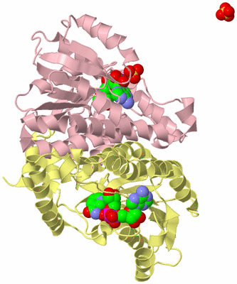 Image Biological Unit 2