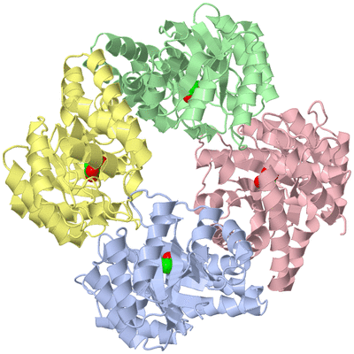 Image Asym./Biol. Unit