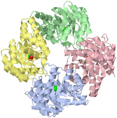 Image Asym./Biol. Unit