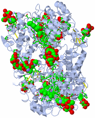 Image Biol. Unit 1 - sites