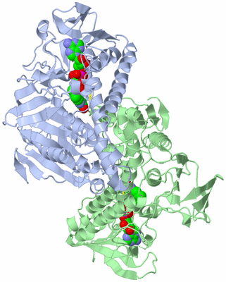 Image Asym./Biol. Unit