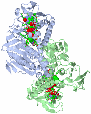 Image Asym./Biol. Unit - sites