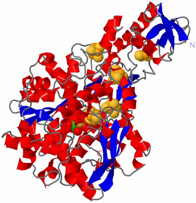 Image Asym./Biol. Unit