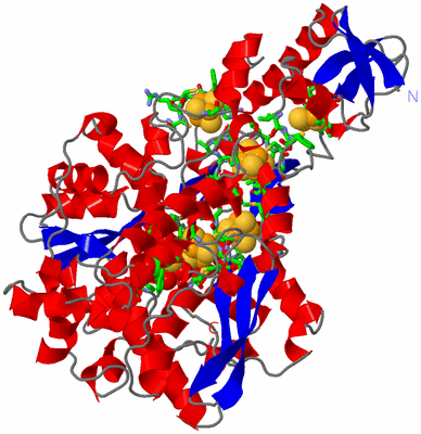 Image Asym./Biol. Unit - sites