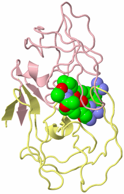 Image Asym./Biol. Unit
