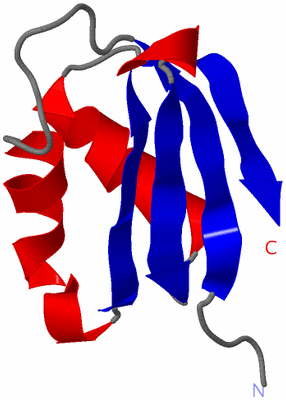 Image NMR Structure - model 1