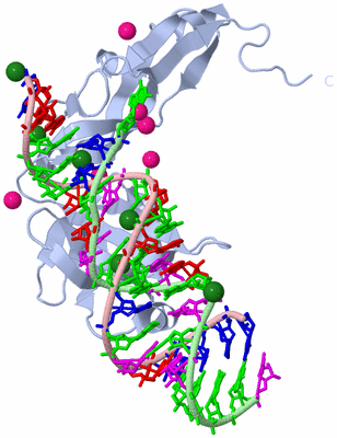 Image Biological Unit 1