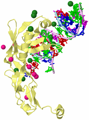 Image Biological Unit 2