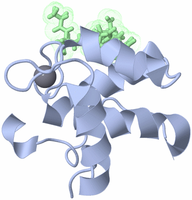 Image NMR Structure - model 1