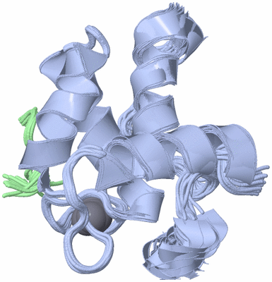 Image NMR Structure - all models