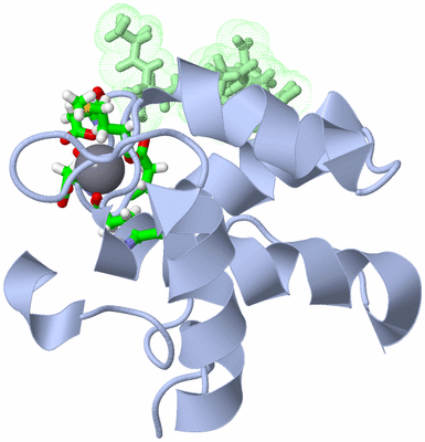 Image NMR Structure - model 1, sites