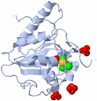 Image Biological Unit 1